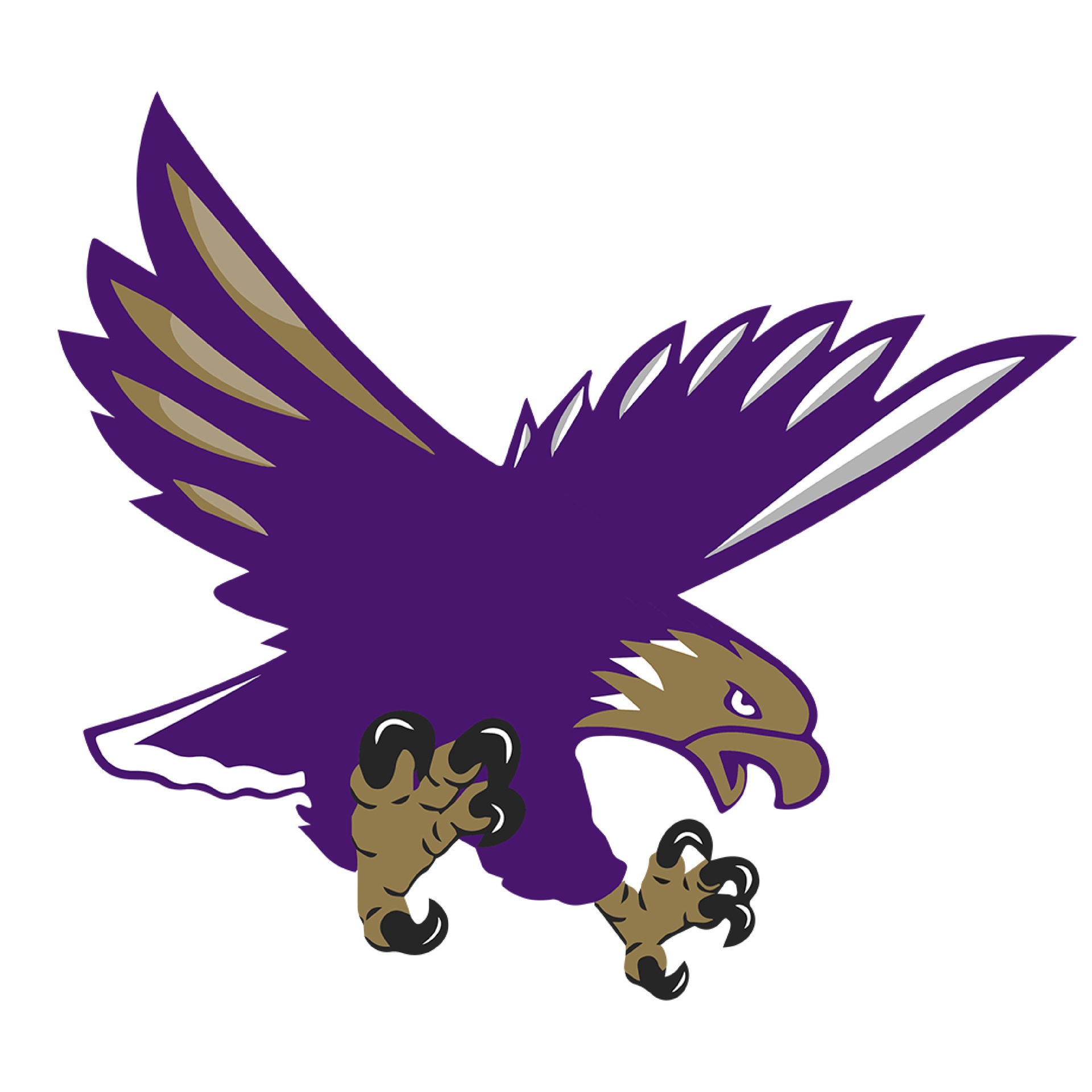 CHEER PLACES SECOND BY 0.77 POINTS AT EAGLE INVITE